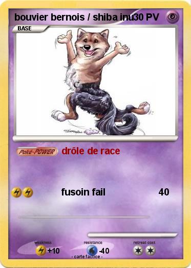 Pokemon bouvier bernois / shiba inu