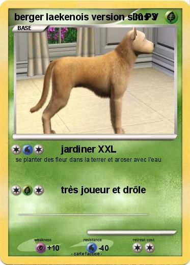 Pokemon berger laekenois version sims 3