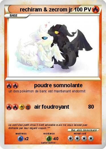 Pokemon rechiram & zecrom jr