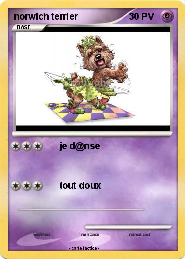 Pokemon norwich terrier