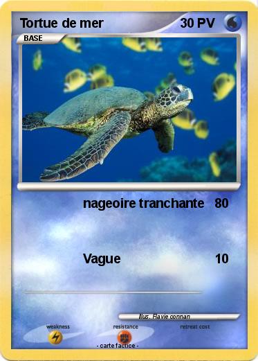 Pokemon Tortue de mer