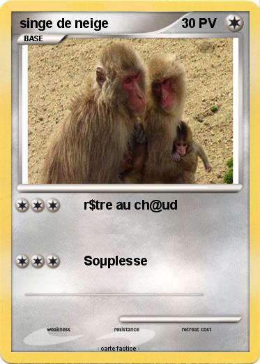 Pokemon singe de neige