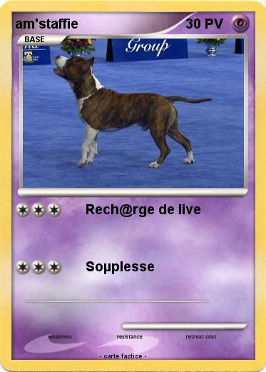 Pokemon am'staffie