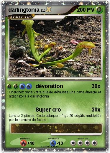 Pokemon darlingtonia