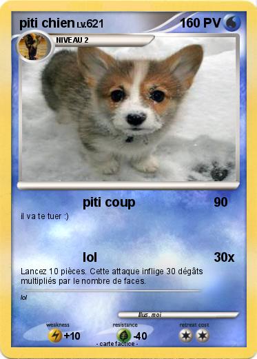Pokemon piti chien