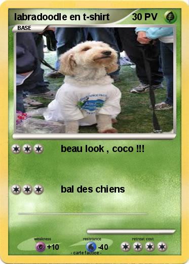 Pokemon labradoodle en t-shirt