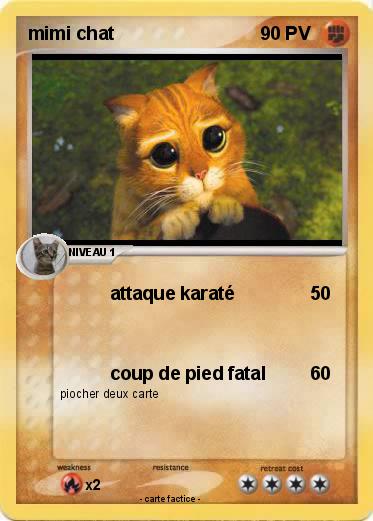 Pokemon mimi chat