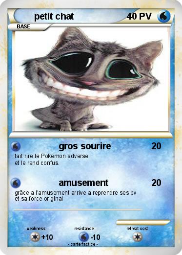 Pokemon petit chat