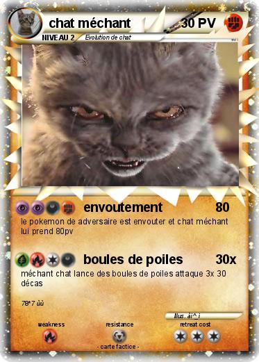 Pokemon chat méchant