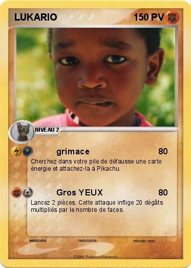Pokemon LUKARIO