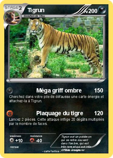 Pokemon Tigrun