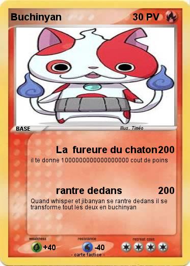 Pokemon Buchinyan