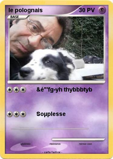 Pokemon le polognais