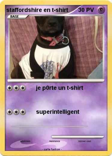 Pokemon staffordshire en t-shirt