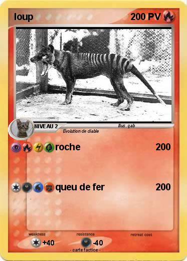 Pokemon loup