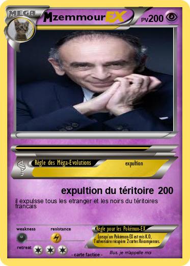 Pokemon zemmour