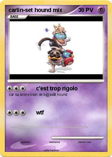 Pokemon carlin-set hound mix