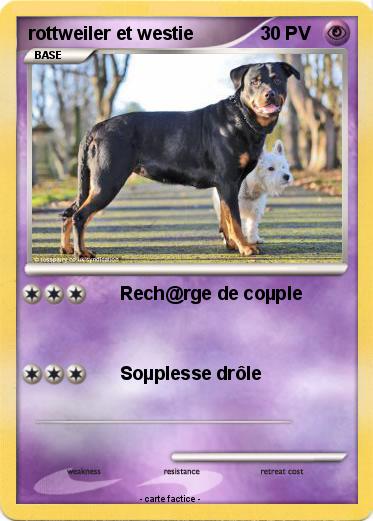 Pokemon rottweiler et westie