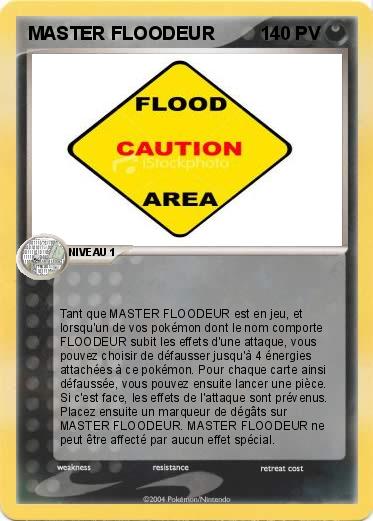 Pokemon MASTER FLOODEUR