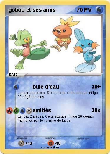 Pokemon gobou et ses amis