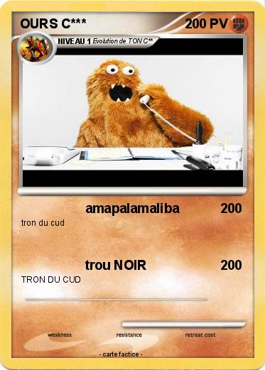 Pokemon OURS C***