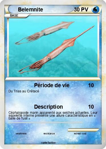 Pokemon Belemnite