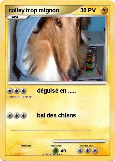 Pokemon colley trop mignon