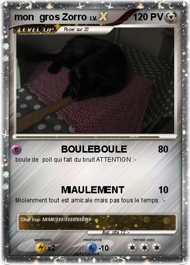 Pokemon mon  gros Zorro