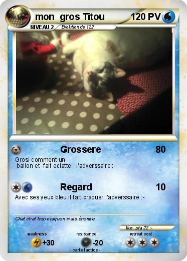 Pokemon mon  gros Titou