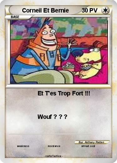 Pokemon Corneil Et Bernie