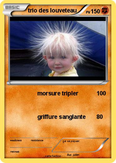 Pokemon trio des louveteau