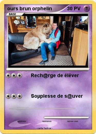 Pokemon ours brun orphelin