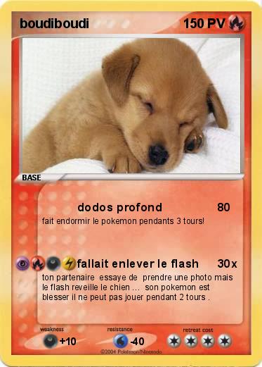 Pokemon boudiboudi