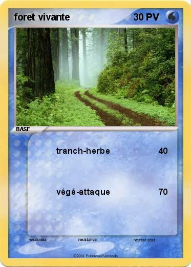Pokemon foret vivante