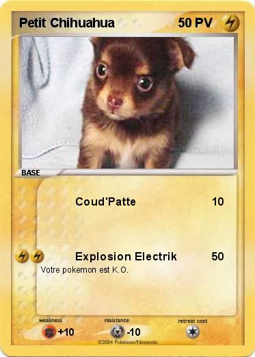 Pokemon Petit Chihuahua