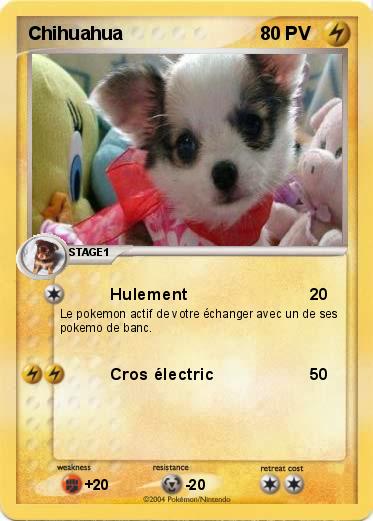 Pokemon Chihuahua