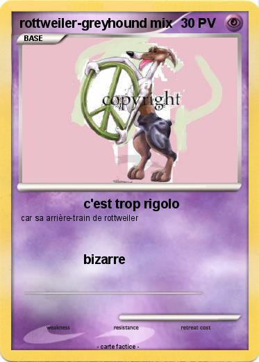 Pokemon rottweiler-greyhound mix