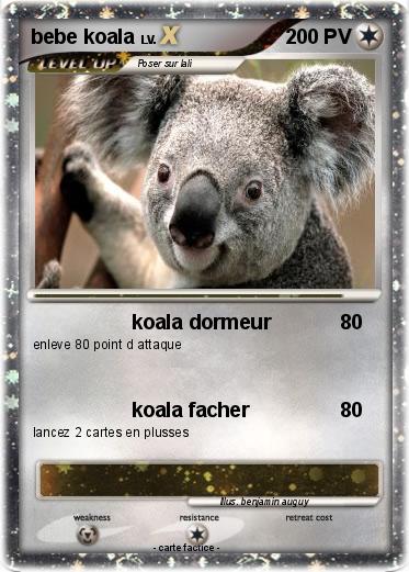 Pokemon bebe koala
