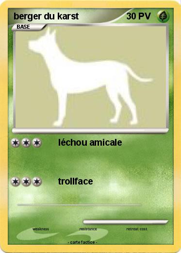 Pokemon berger du karst