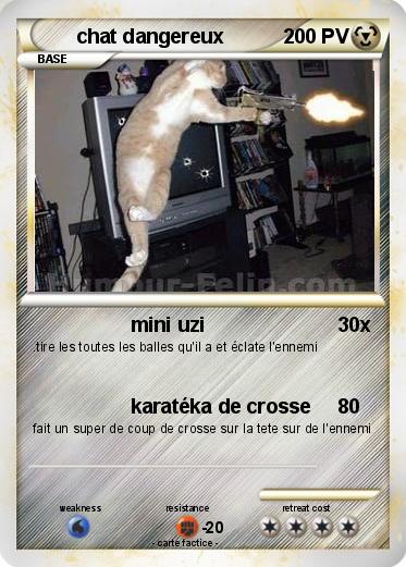 Pokemon chat dangereux