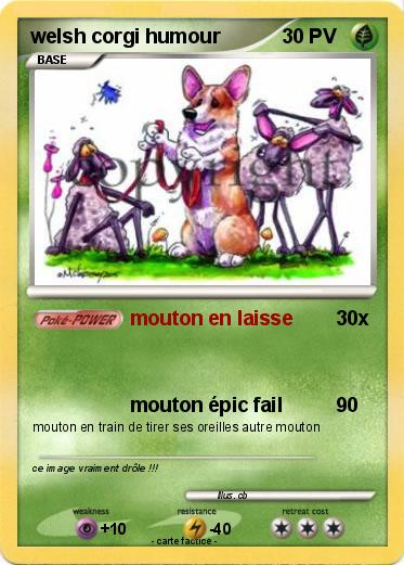 Pokemon welsh corgi humour