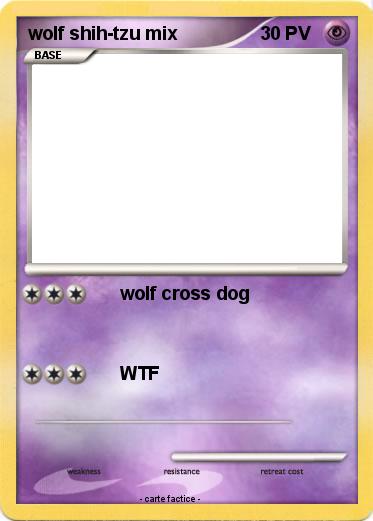 Pokemon wolf shih-tzu mix