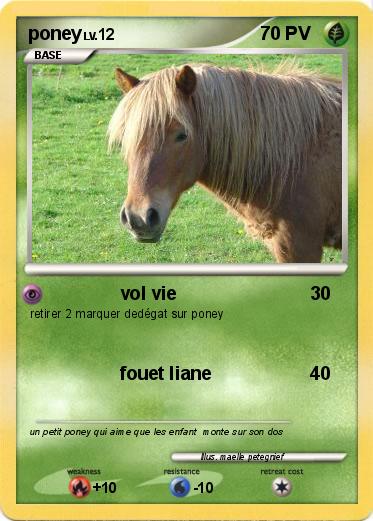 Pokemon poney