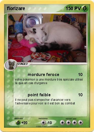 Pokemon florizare
