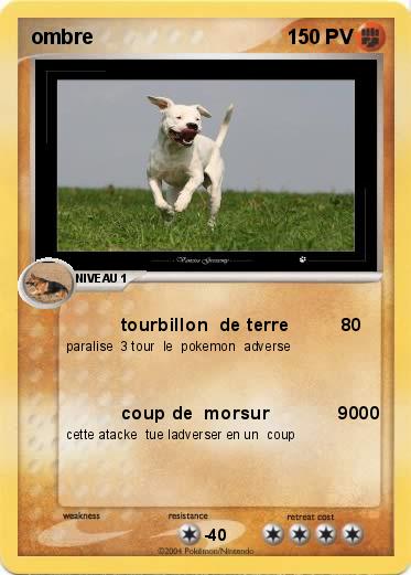 Pokemon ombre                     