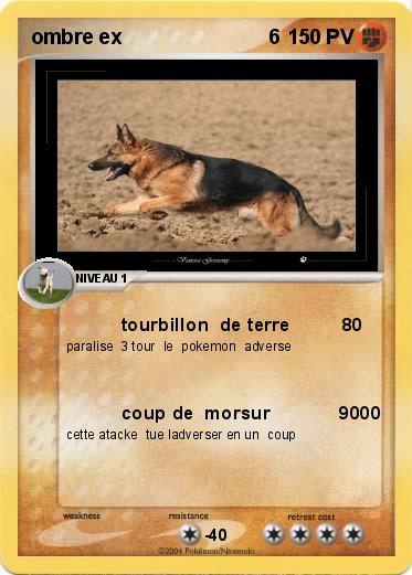 Pokemon ombre ex                          6