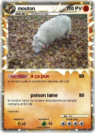 Pokemon mouton