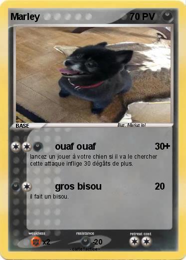 Pokemon Marley