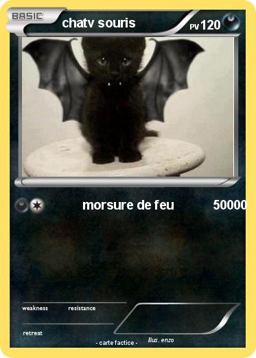 Pokemon chatv souris
