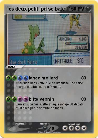 Pokemon les deux petit  pd se bate
